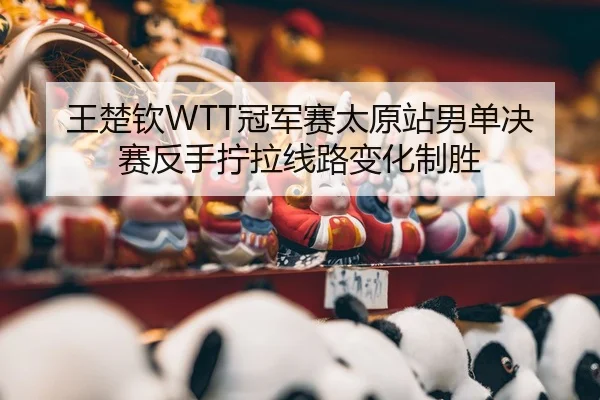 王楚钦WTT冠军赛太原站男单决赛反手拧拉线路变化制胜